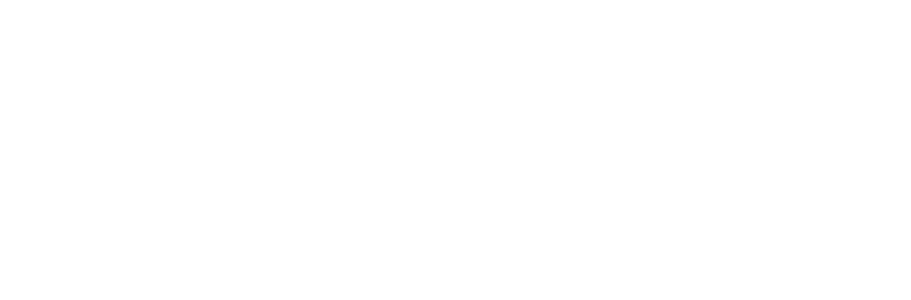 API Development Group LLC